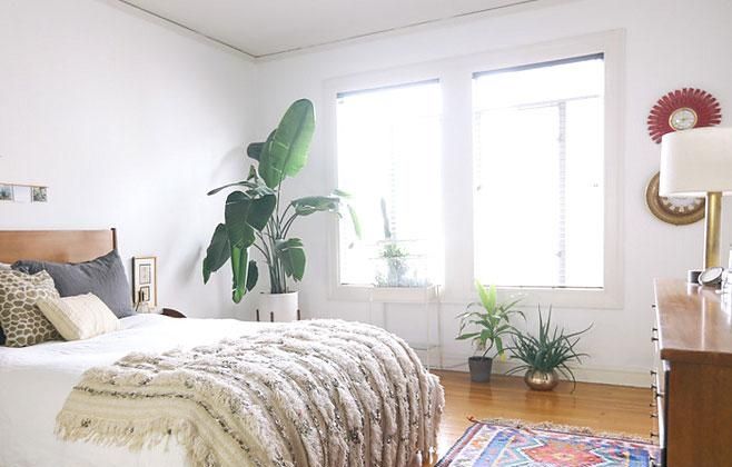 timg (3).jpg timg (3).jpg